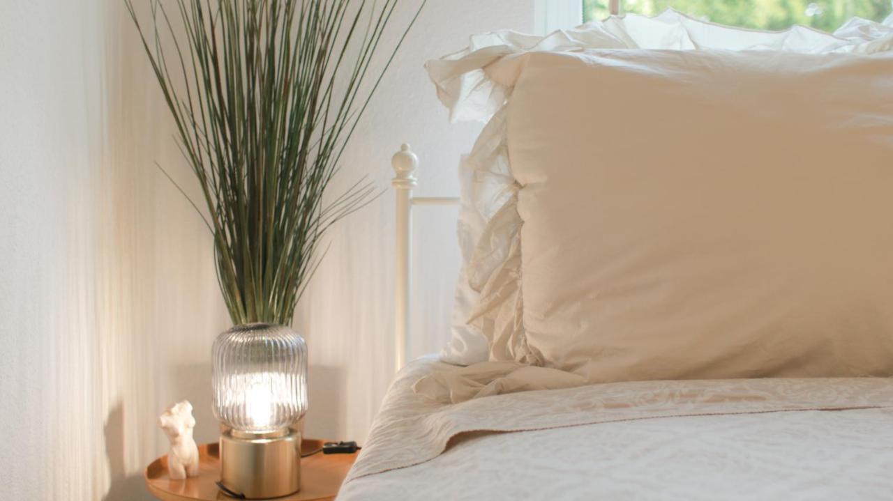 Apartamento Cassel - Mit Smart Tv Und Parkplaetzen - Fuer Singles, Paare, Familien Und Gruppen
